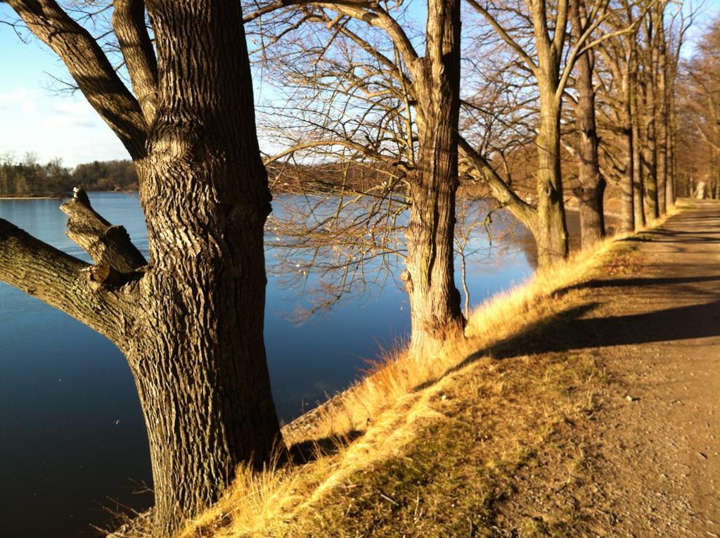 Apartmán Sportovní Appartamento Třeboň Esterno foto